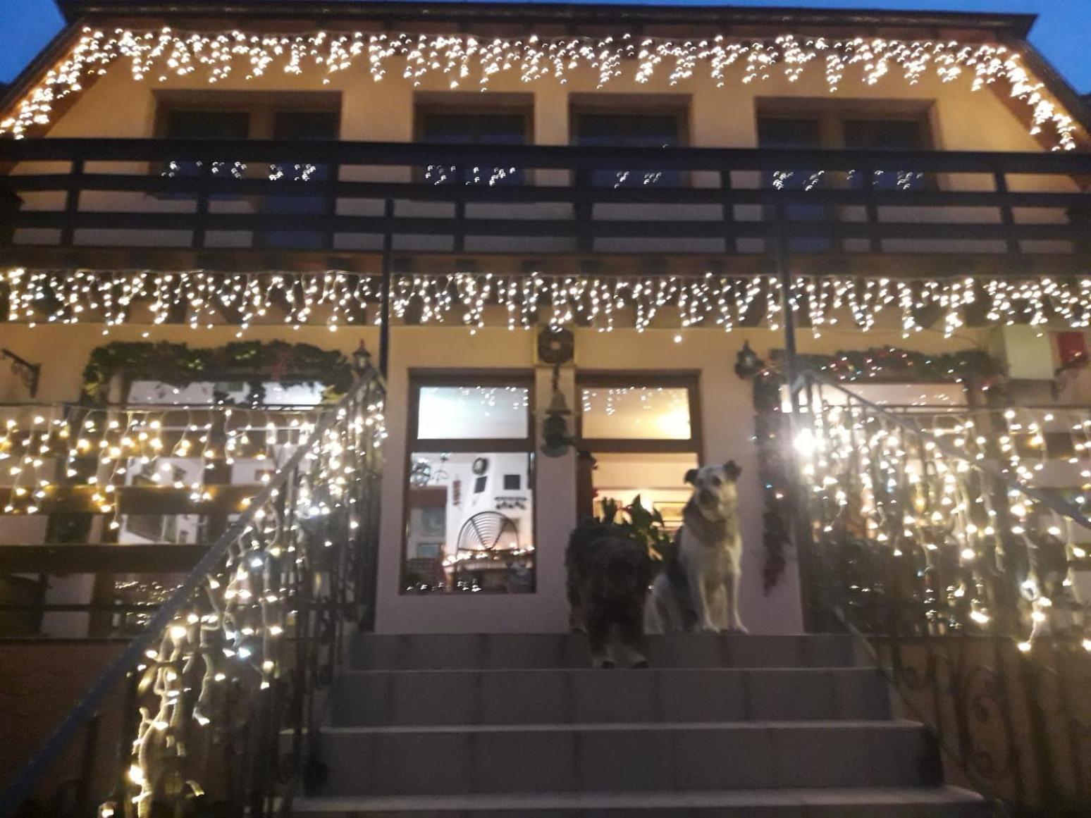 Panzio Anett Bed & Breakfast Pietroasa  Екстериор снимка