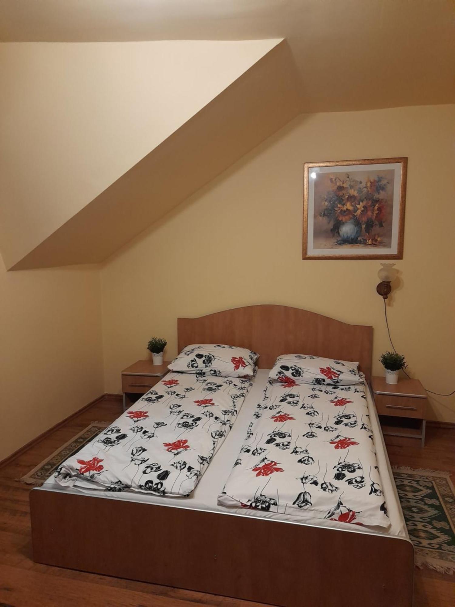 Panzio Anett Bed & Breakfast Pietroasa  Екстериор снимка
